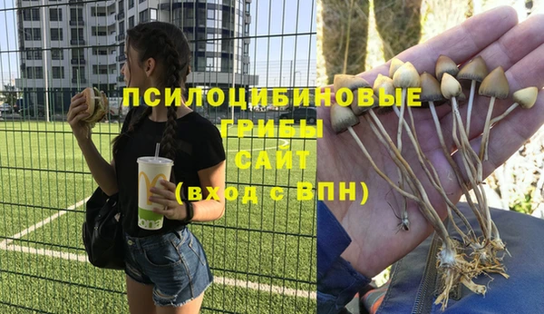 спайс Абинск