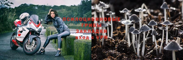 ECSTASY Абдулино