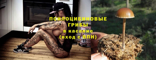 спайс Абинск
