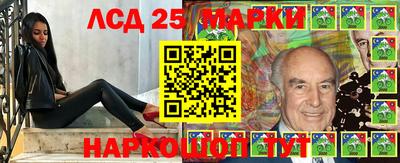 стаф Новозыбков