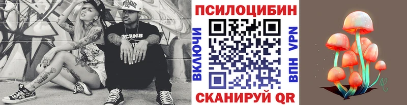 Псилоцибиновые грибы мухоморы Новоалтайск
