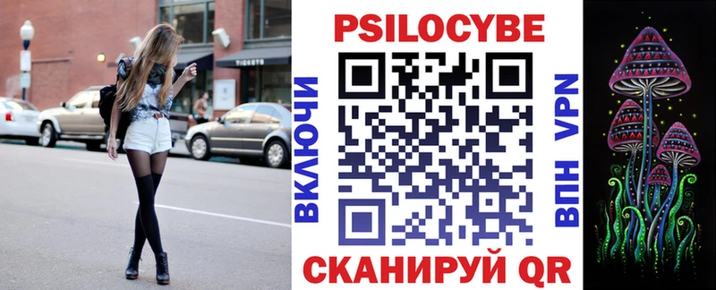 Псилоцибиновые грибы мицелий KRAKEN ССЫЛКА Новоалтайск что такое