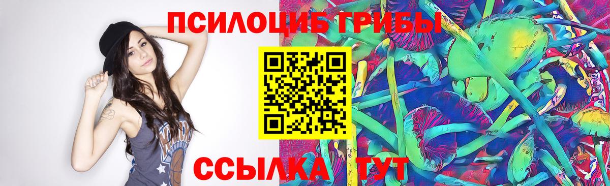 Новоалтайск  Псилоцибиновые грибы прущие грибы  Галлюциногенные грибы MAGIC MUSHROOMS  Вход с VPN 