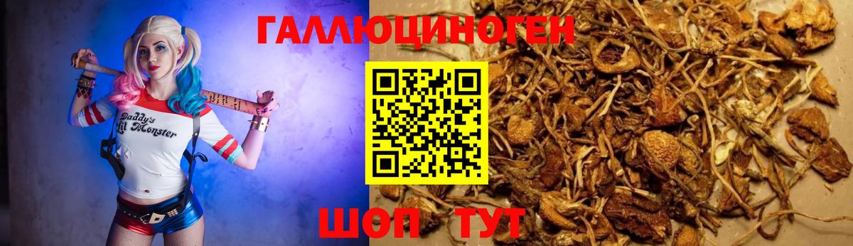 Галлюциногенные грибы мицелий Новоалтайск