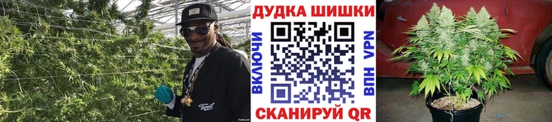 где купить наркоту Новоалтайск Бошки Шишки OG Kush